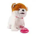 papy dog phot 3.webp