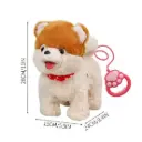 papy dog pho 2.webp